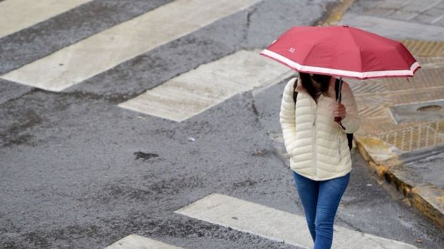 nubes, humedad y tormentas: como estara el clima esta semana en la plata