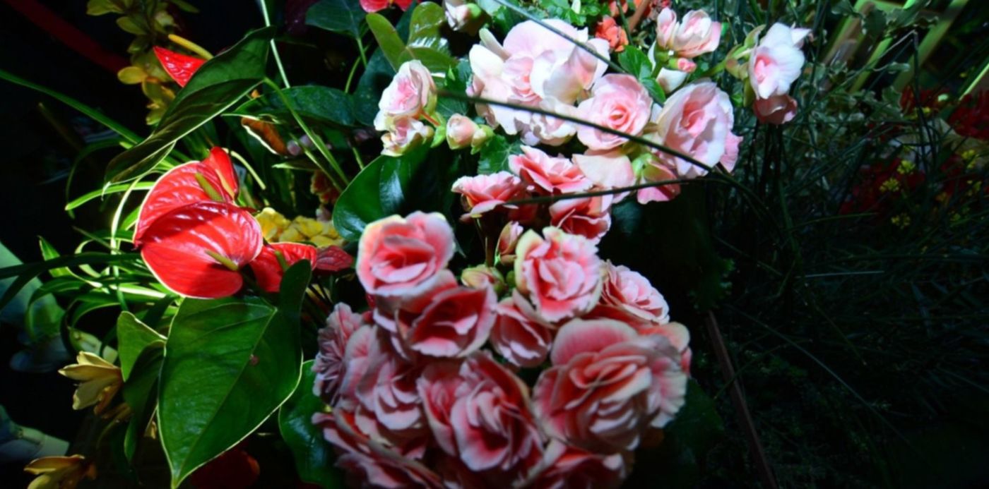 1566236490345.jpg?scaleX=1&scaleY=1&rotate=0&y=22&width=1486&height=743&ow=1500&oh=996&x=7&&cw=1920&ch=950