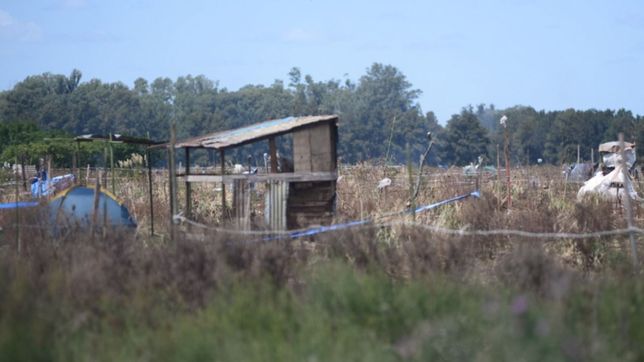 crece la tension por las tomas de terrenos en la plata: casi ocupan un predio en city bell