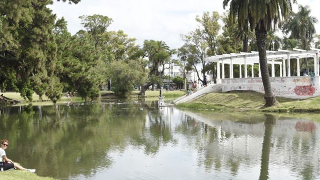 tras la clausura de mcdonald?s y la rata de arana, mataron a un roedor en parque saavedra