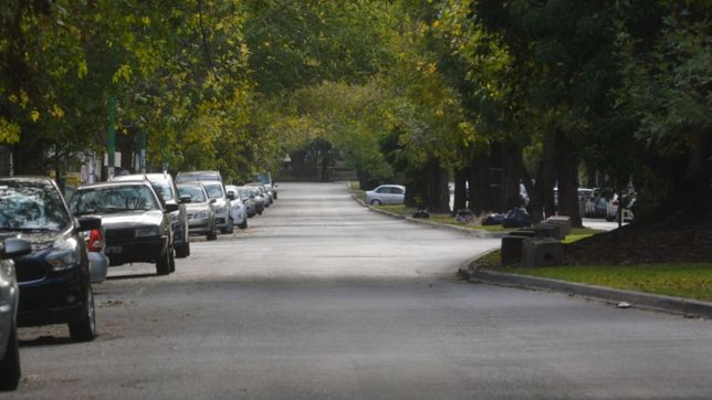 mas de 20 calles pasaran a tener mano unica en una zona clave de la plata