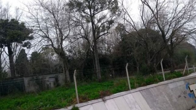 desmantelaron un club de barrio en villa elisa: se llevaron hasta las lamparitas