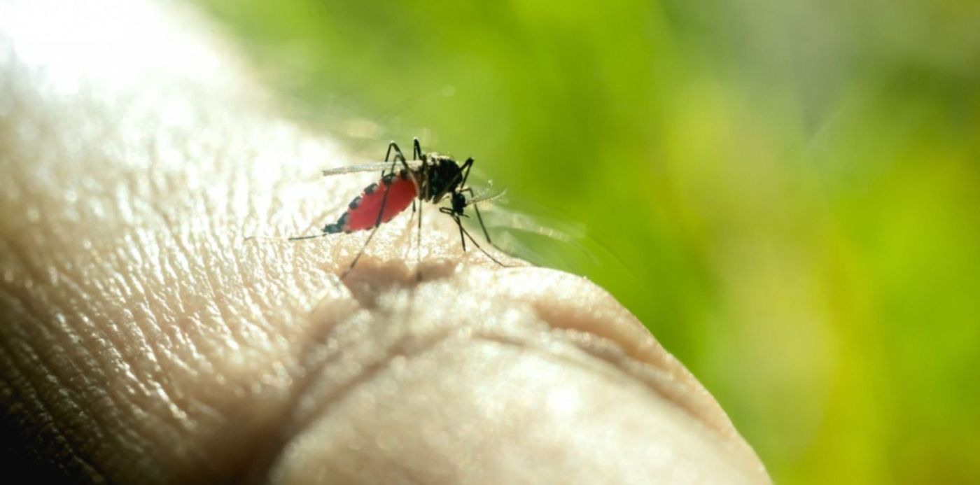 1582765966714.jpg?x=3&y=137&width=1493&height=747&rotate=0&scaleX=1&scaleY=1&ow=1500&oh=1000&&cw=1920&ch=950