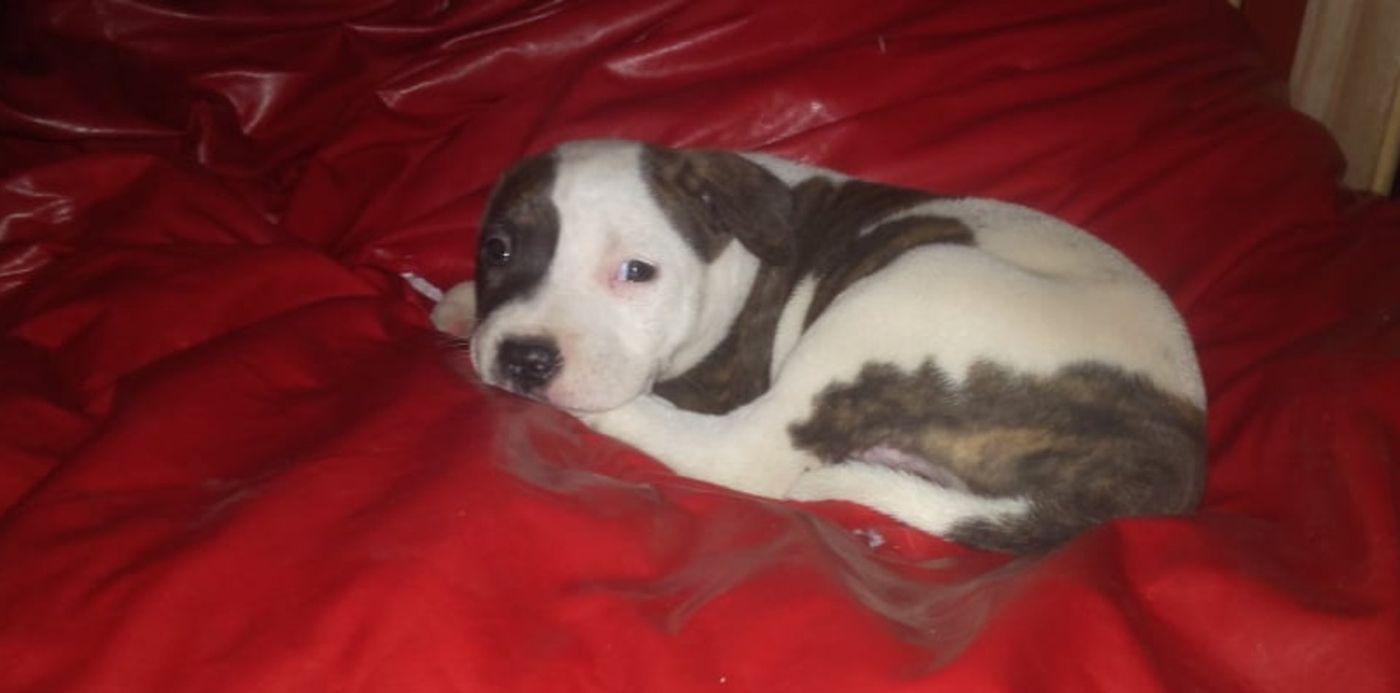 1548341894045.jpg?x=5&y=48&height=400&ow=816&oh=459&width=800&rotate=0&scaleX=1&scaleY=1&&cw=1920&ch=950