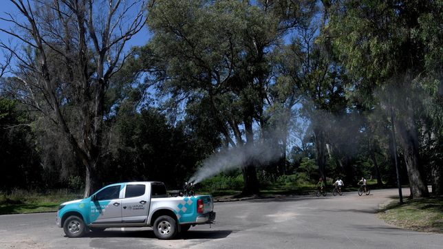 ¿por que fumigar contra los mosquitos no es siempre la mejor opcion?