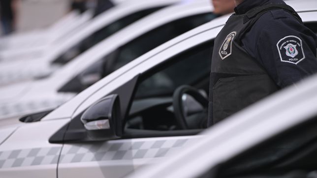 balearon a tres perras y los duenos denunciaron a un vecino por maltrato animal