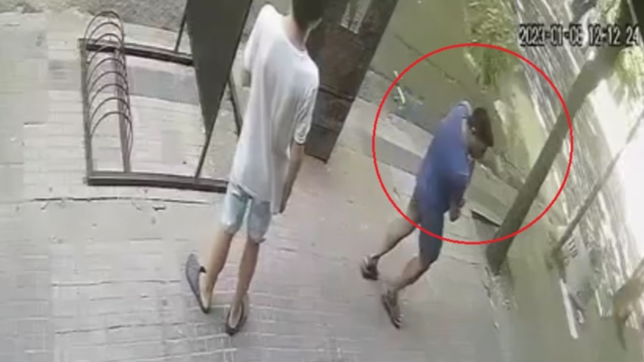 video: robo una maceta de la mantequeria delante de su hijo y quedo filmado