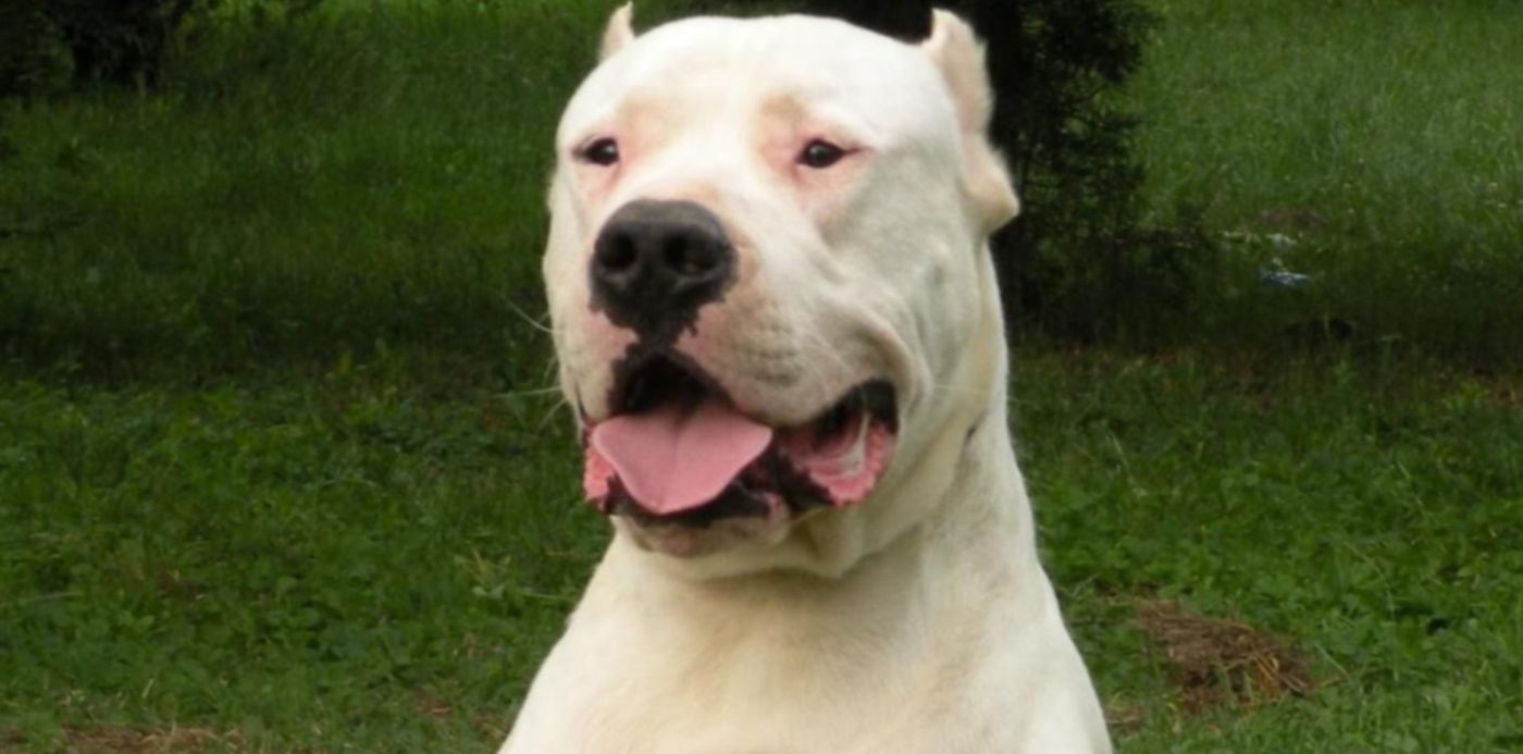 1604675109455.jpeg?x=4&y=9&width=1189&height=594&rotate=0&scaleX=1&scaleY=1&ow=1200&oh=675&&cw=1920&ch=950