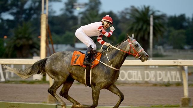 le pusieron fecha a la reanudacion de las carreras en el hipodromo
