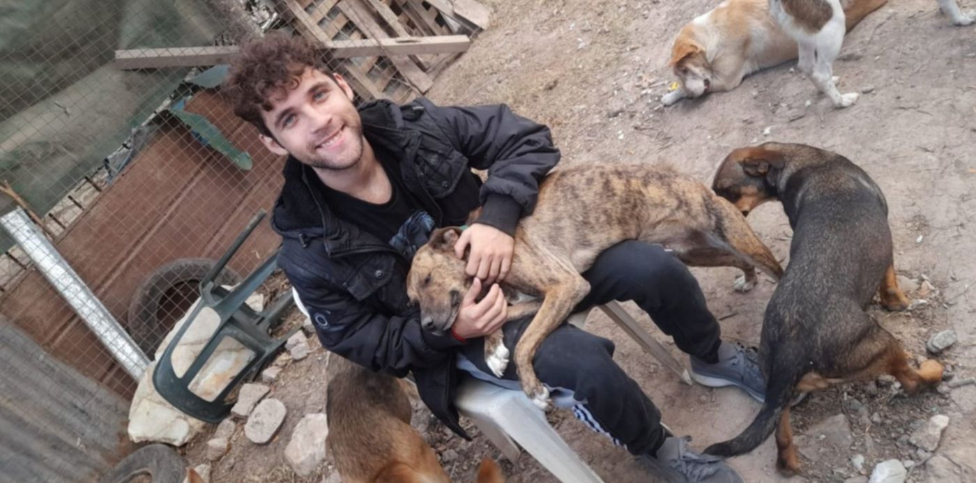 puedes llevar perros al refugio