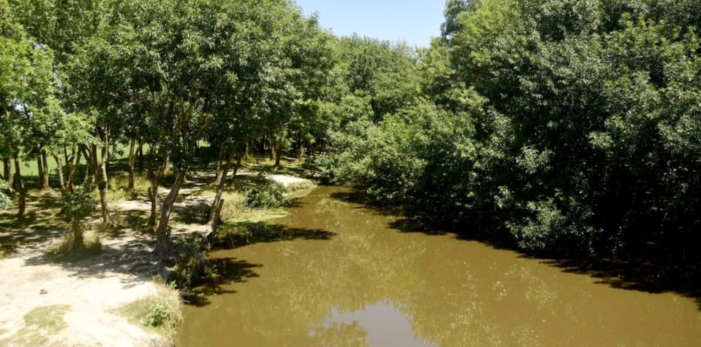 Humedal Arroyo El Pescado