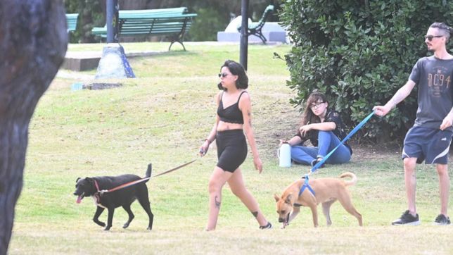 miercoles primaveral y algo nublado, pero a la espera de las lluvias en la plata