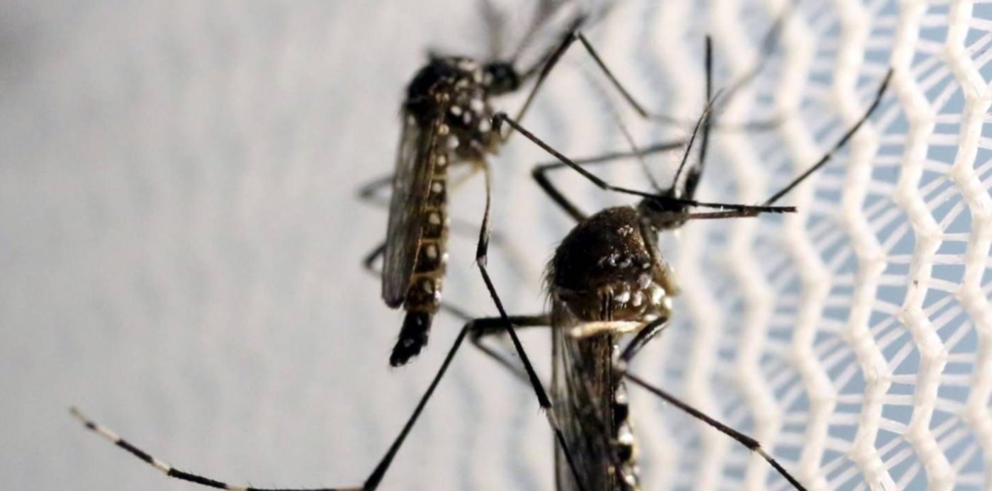 1582765968483.jpg?scaleX=1&x=10&y=55&rotate=0&scaleY=1&ow=1464&oh=976&width=1444&height=722&&cw=1920&ch=950