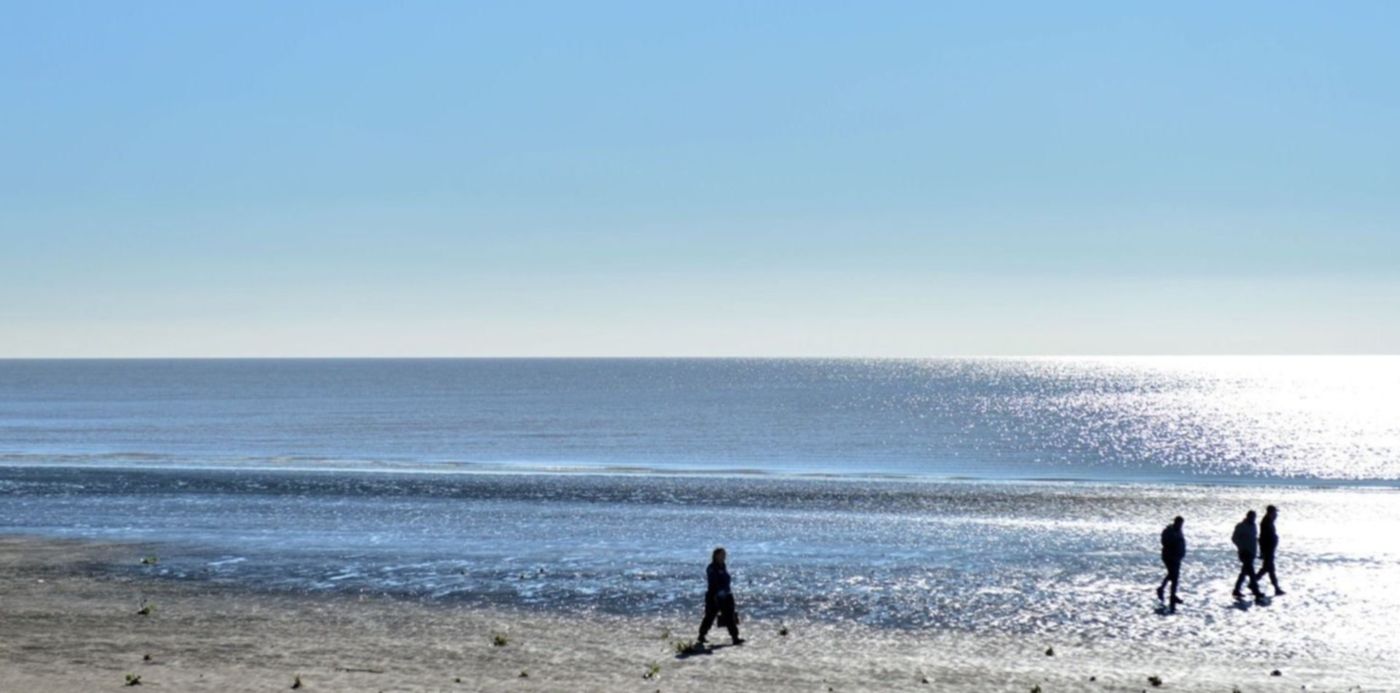 1564927113355.jpg?ow=1500&x=6&height=742&rotate=0&scaleX=1&y=135&width=1485&scaleY=1&oh=982&&cw=1920&ch=950