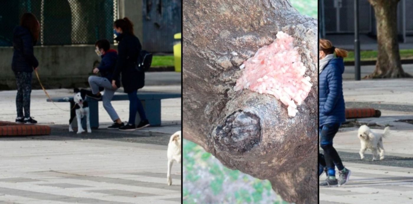 1600791001160.jpg?x=10&y=0&width=1484&height=742&rotate=0&scaleX=1&scaleY=1&ow=1500&oh=742&&cw=1920&ch=950