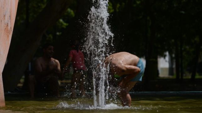 alerta por altas temperaturas en la plata: recomendaciones para evitar golpes de calor