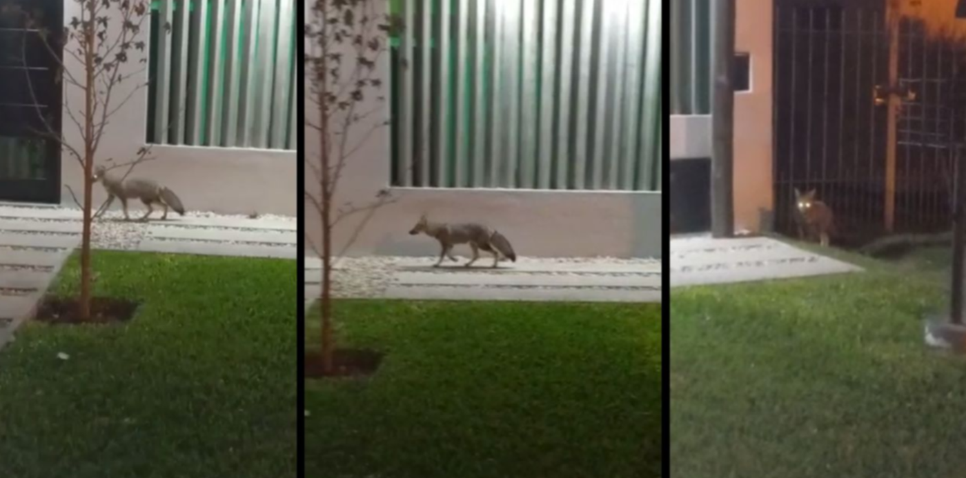 1647781575183.jpg?x=7&y=50&width=1266&height=633&rotate=0&scaleX=1&scaleY=1&ow=1280&oh=720&&cw=1920&ch=950