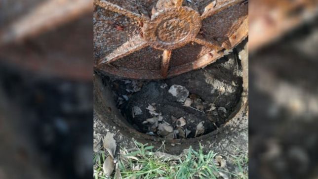 vecinos de tolosa denuncian que desbordaron las cloacas y se lleno todo de caca