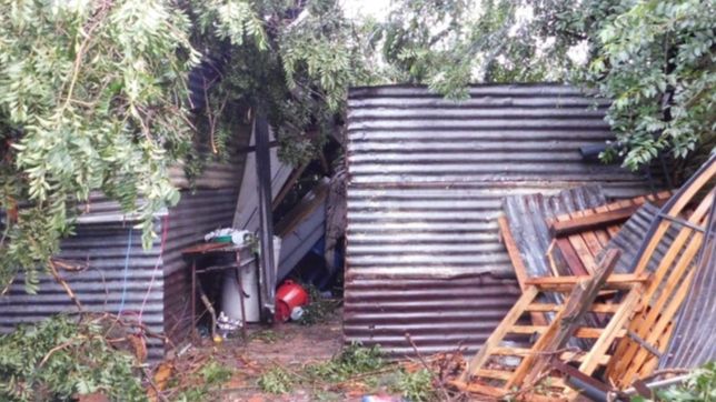 temporal tragico: cayo un arbol y mato a un hombre mientras dormia en su casa