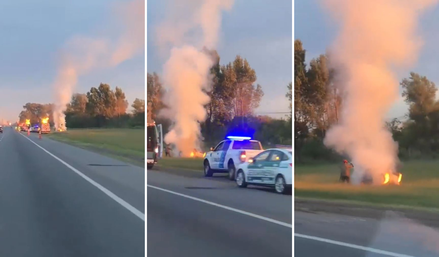 Copia de Copia de Copia de Copia de Copia de Diseño sin título.png