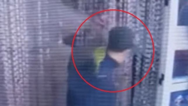 entro a robar a un supermercado de la plata con un loro en el hombro y se llevo un vino