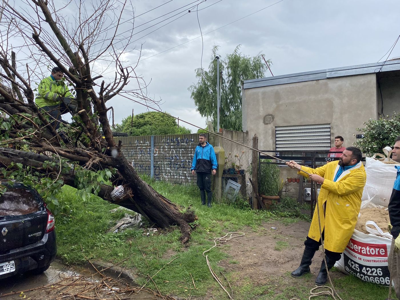 Berisso auto árbol caído temporal tormenta.jpg