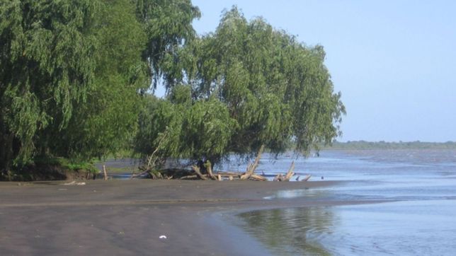 un hombre abuso de una nena mientras se banaba en el rio de la plata y casi lo linchan