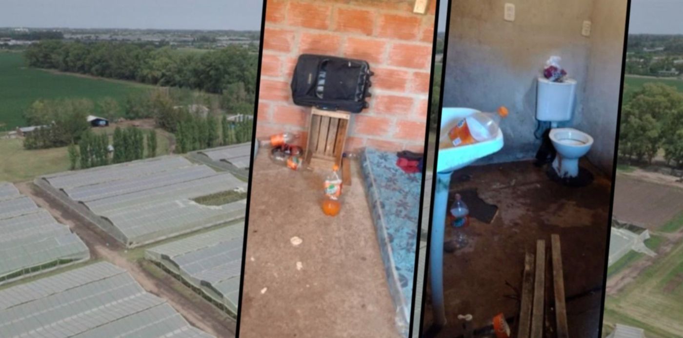 1635247962960.jpg?x=8&y=0&width=1484&height=742&rotate=0&scaleX=1&scaleY=1&ow=1500&oh=742&&cw=1920&ch=950