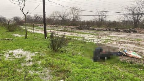Identificaron al jinete de La Plata que murió junto a su caballo tras recibir una descarga eléctrica