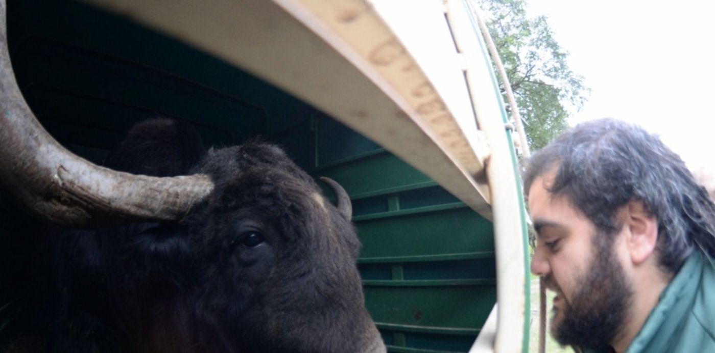 1564675486580.jpg?&cw=1920&ch=950