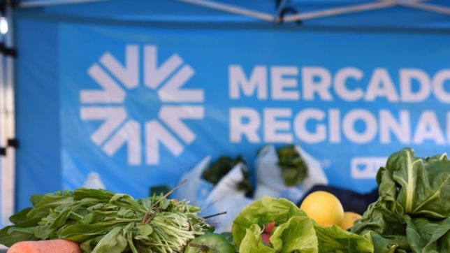 desde este martes y hasta el viernes, el mercadito municipal se instala en abasto