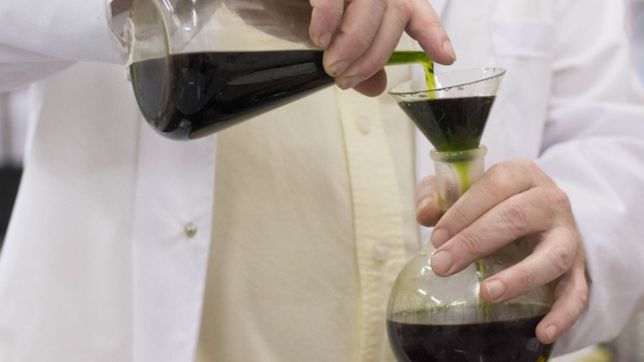 presentaron un amparo colectivo para obligar al estado a distribuir aceite de cannabis