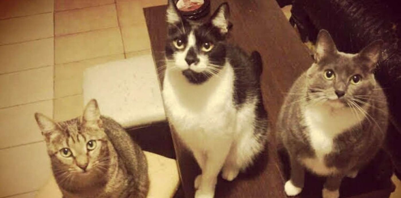 1647102553669.jpg?&cw=1920&ch=950