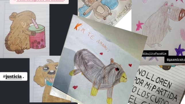 la emotiva campana en redes para homenajear a la nena asesinada en la plata