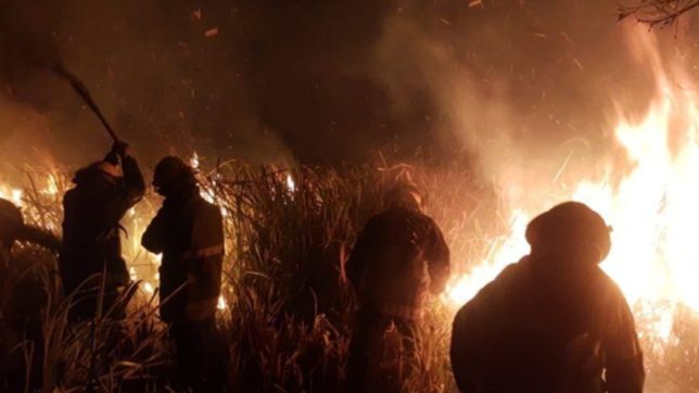 el gobierno declaro la emergencia ignea por los incendios forestales en todo el pais