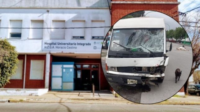 ¿como sigue el nene que iba a caballo y fue embestido por un auto en punta lara?