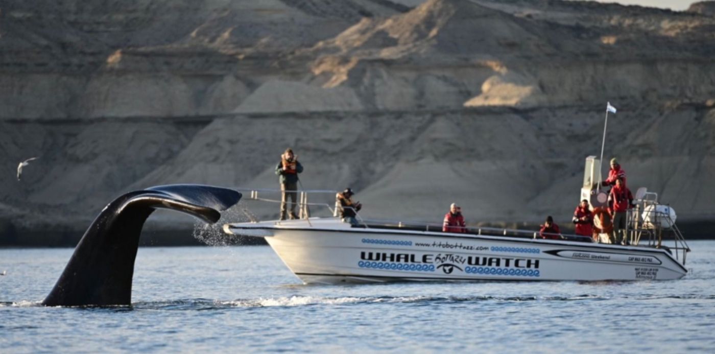 1626907149299.jpg?x=13&y=66&width=1462&height=731&rotate=0&scaleX=1&scaleY=1&ow=1482&oh=988&&cw=1920&ch=950