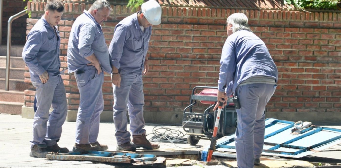 1551183661197.jpg?y=158&height=736&ow=1500&oh=948&scaleY=1&x=14&width=1472&rotate=0&scaleX=1&&cw=1920&ch=950