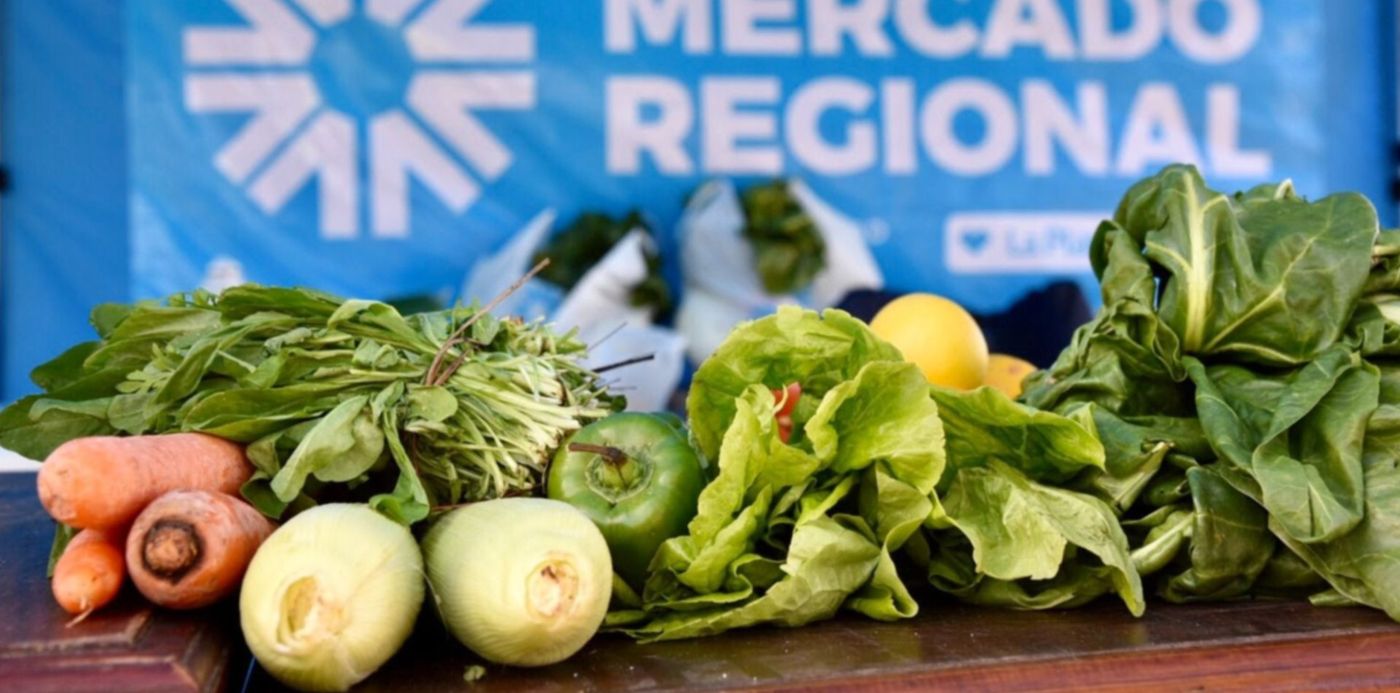 1655672851159.jpg?x=10&y=257&width=1480&height=740&rotate=0&scaleX=1&scaleY=1&ow=1500&oh=1000&&cw=1920&ch=950