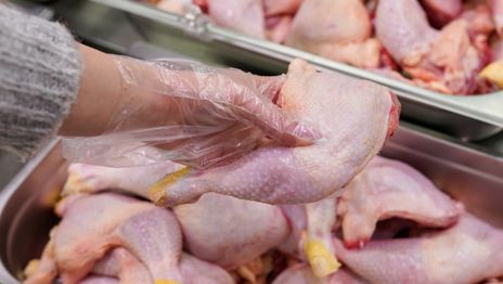 Docentes de la UNLP podrán comprar pollo y cerdo a precios populares