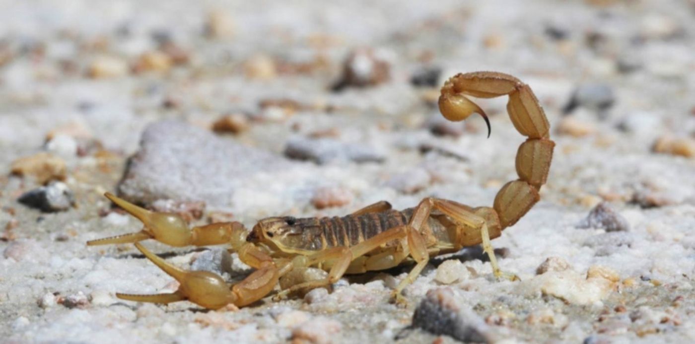 1579531332298.jpg?&cw=1920&ch=950