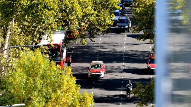 tras la tormenta, llega el sol y asi va a seguir el clima en la plata