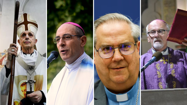 ¿quienes son los cuatro cardenales argentinos que votaran al sucesor de francisco?