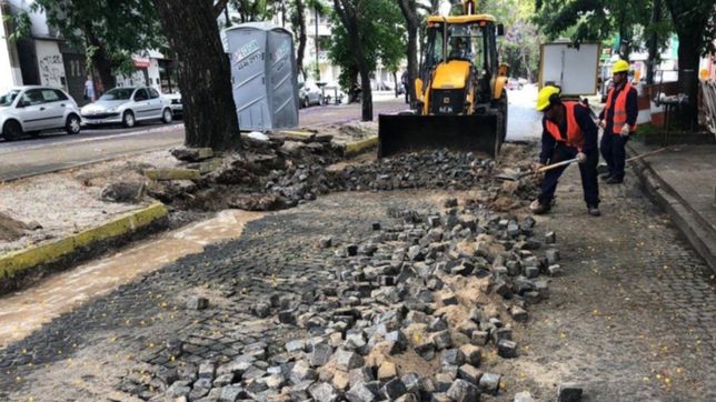 aprobaron la ordenanza que permite avanzar con el asfalto sobre los adoquines de la plata