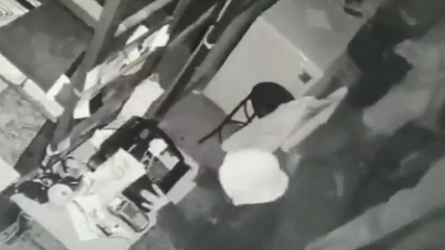 video: robalechones saquearon una carniceria platense y quedaron filmados