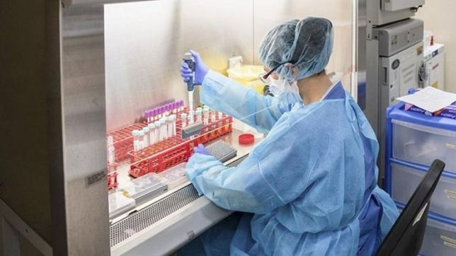 la vacuna argentina contra el covid-19 logro desarrollar anticuerpos