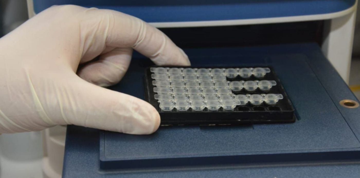 1585875163743.jpeg?scaleY=1&ow=1280&oh=853&x=17&y=82&height=624&width=1249&rotate=0&scaleX=1&&cw=1920&ch=950