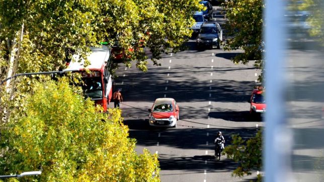 lunes despejado y con buen clima: ¿como estara el tiempo esta semana en la plata?