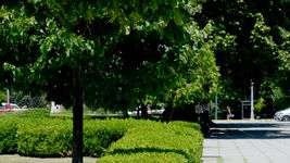 llego el alivio y arranca una seguidilla de dias con buen clima, pero con lluvias en el horizonte llego el alivio y arranca una seguidilla de dias con buen clima, pero con lluvias en el horizonte