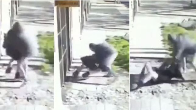 ataque, forcejeo y disparo: la palabra de la mujer que fue arrastrada por un ladron en la plata